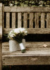 Elena & Julien: photo №11